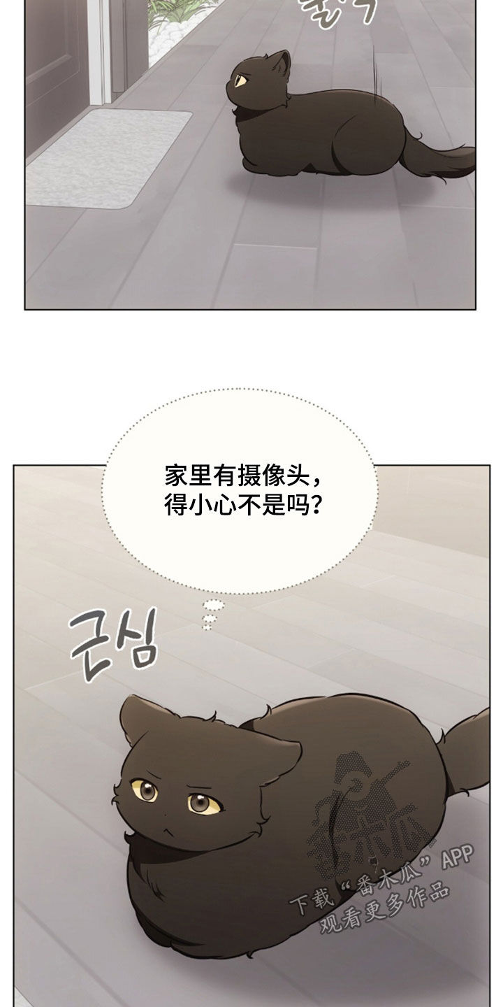 《我的黑猫少年》漫画漫画,第50章：吐了3图