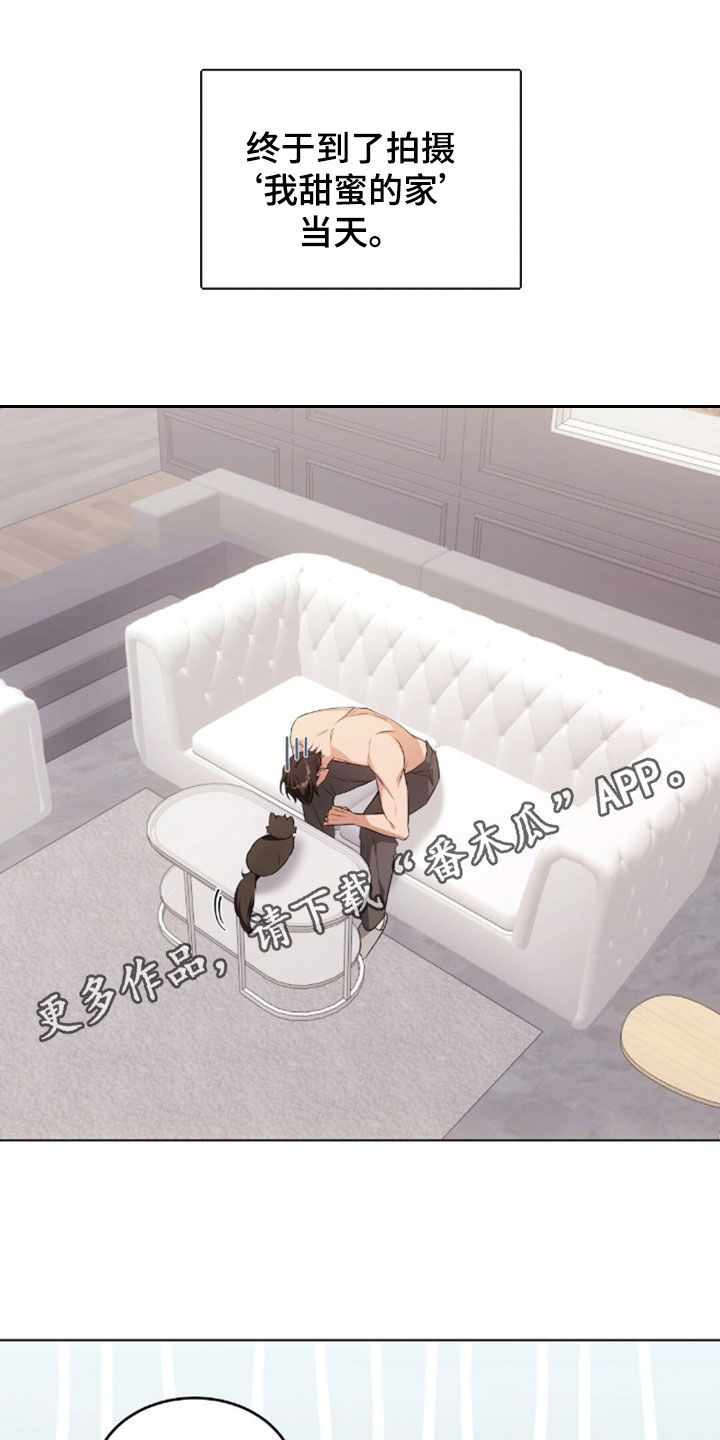 我的黑猫少年韩漫漫画,第49章：闯祸1图