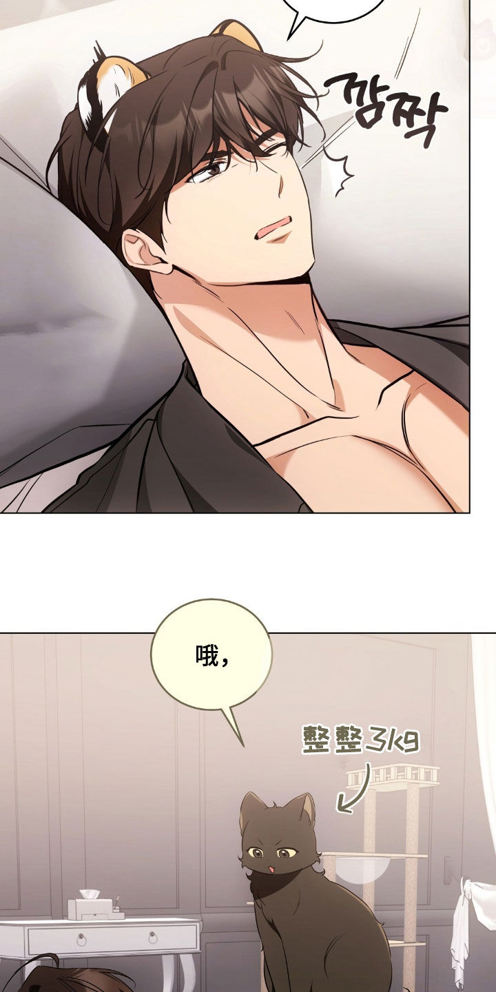 我的黑猫少年漫画,第48章：报复回去3图