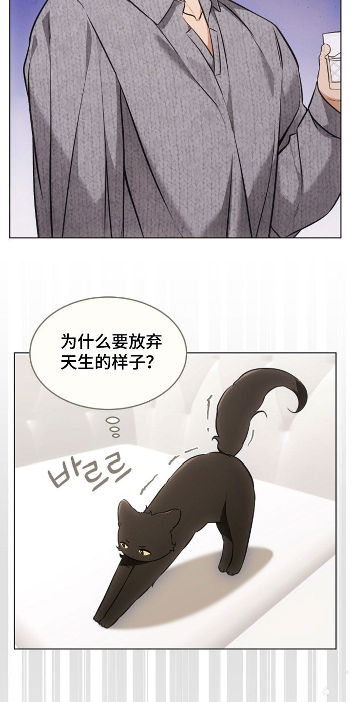 我的黑猫少年韩漫免费阅读漫画,第51章：很像父亲5图