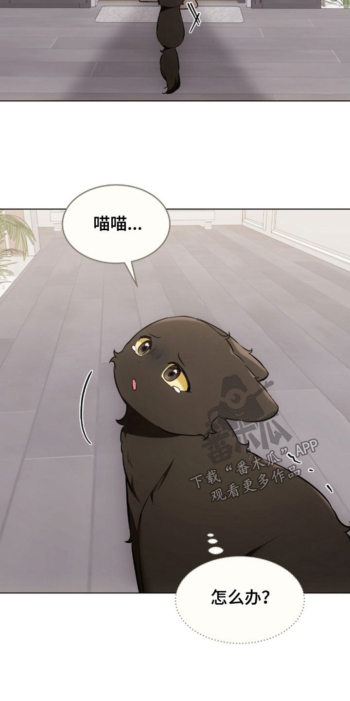 我的黑猫男友动漫在线观看樱花岛漫画,第50章：吐了4图