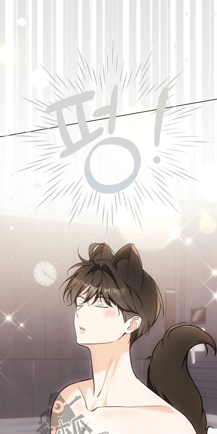 我的黑猫少年韩漫免费阅读漫画,第51章：很像父亲1图
