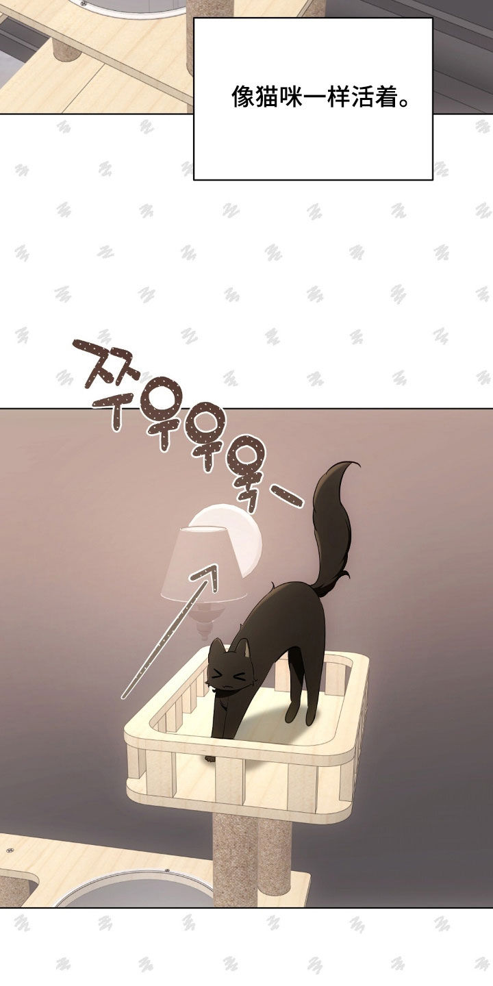 我的黑猫少年合集漫画,第48章：报复回去4图