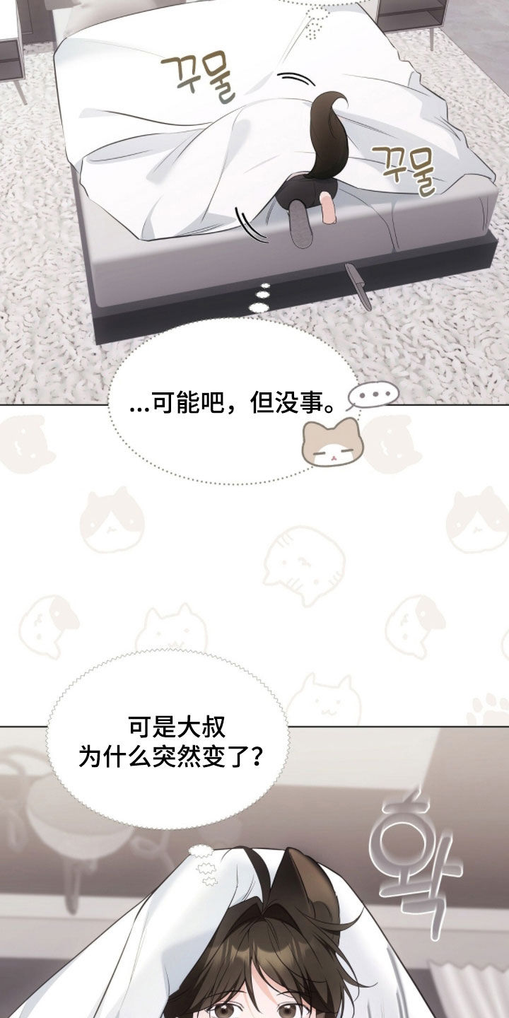我的黑猫和白猫阅读题答案漫画,第44章：上了年纪3图