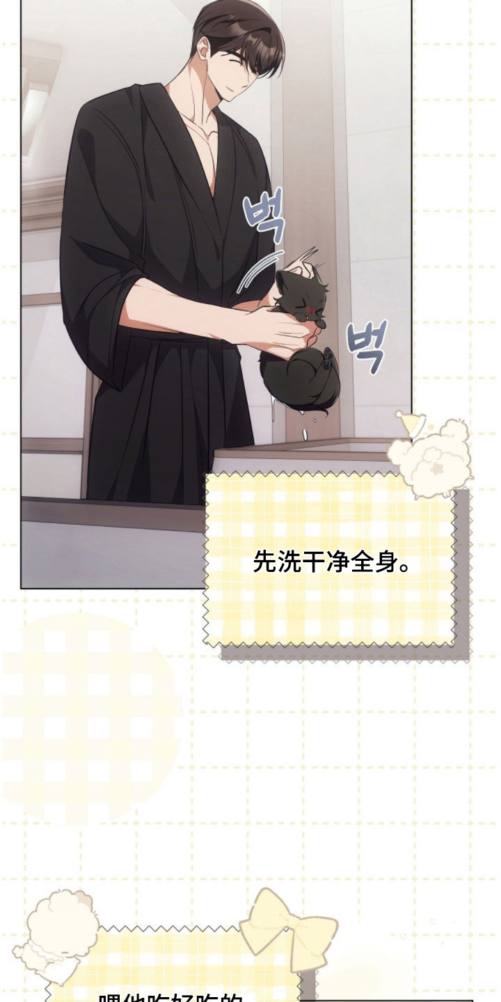我的黑猫少年漫画,第43章：保持距离4图
