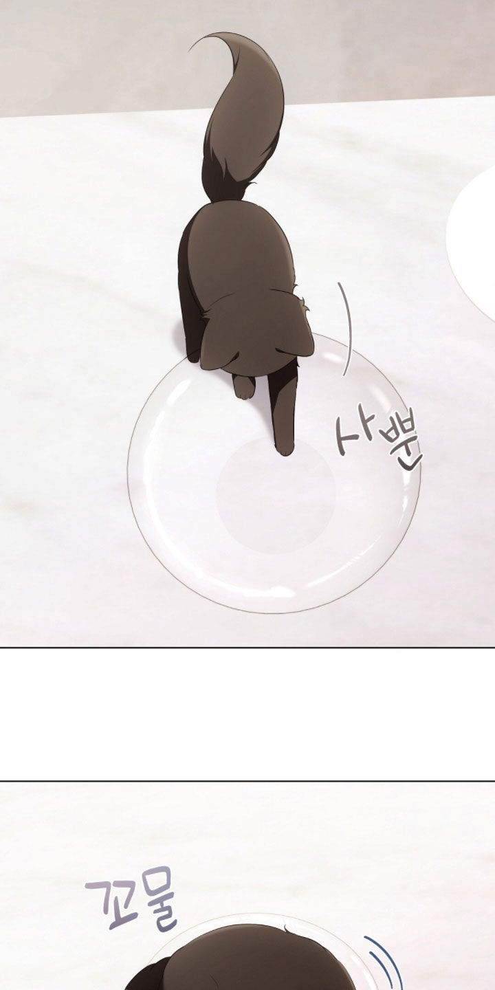 我的黑猫少年韩漫免费阅读漫画,第43章：保持距离3图