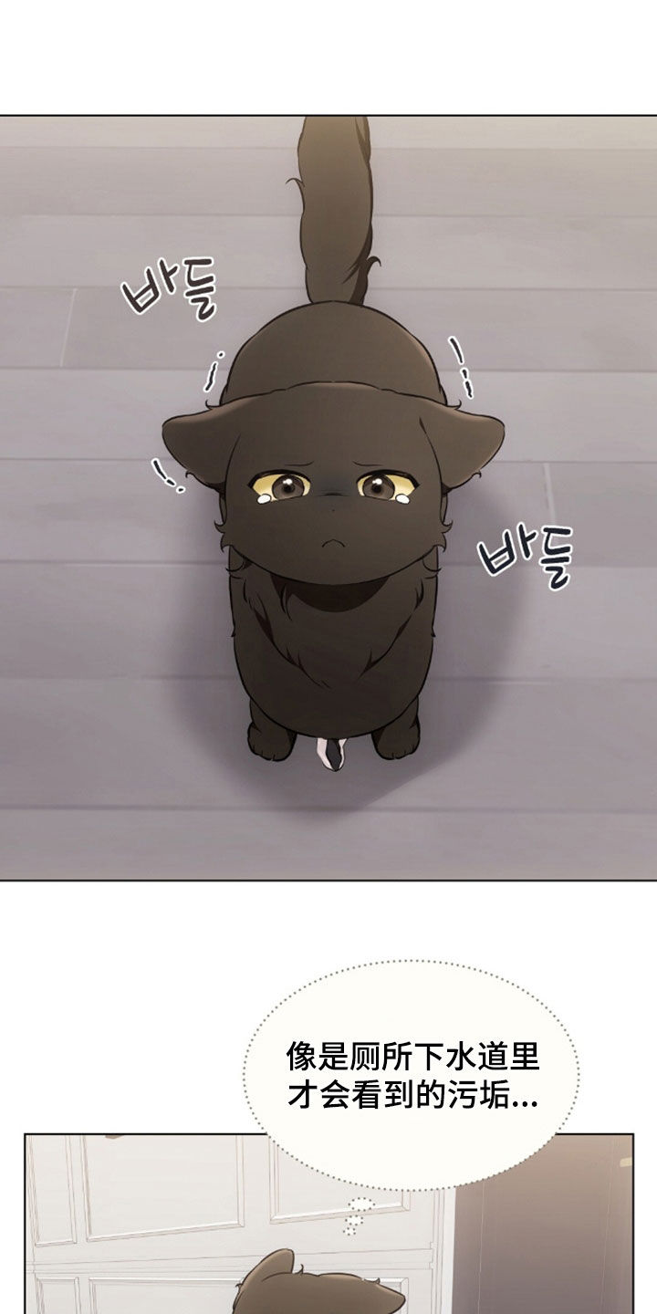 《我的黑猫少年》漫画漫画,第50章：吐了1图