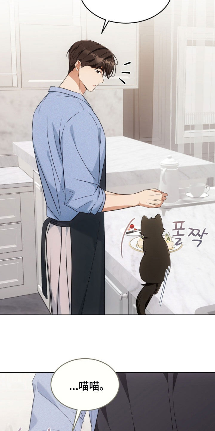 我的黑猫少年韩漫免费阅读漫画,第43章：保持距离5图