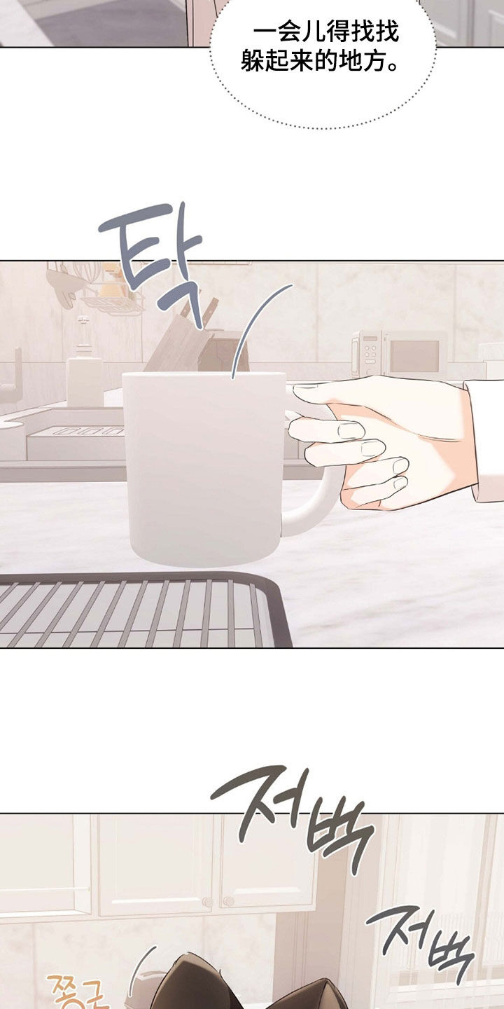 我的黑猫少年韩漫免费阅读漫画,第45章：确认一下4图