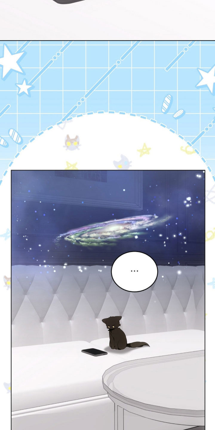 我的黑猫少年韩漫免费阅读漫画,第43章：保持距离2图