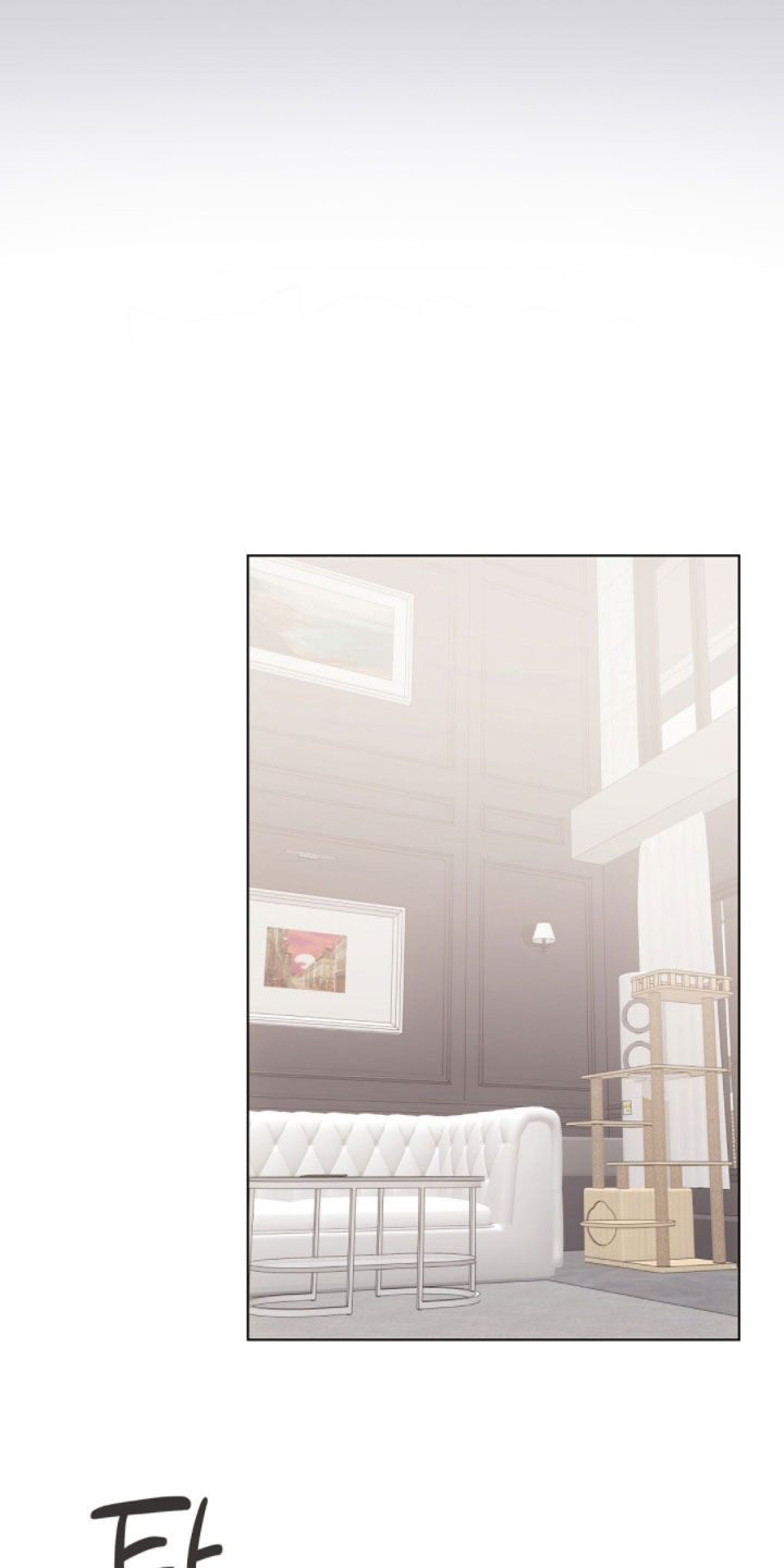 我的黑猫少年韩漫免费阅读漫画,第43章：保持距离2图
