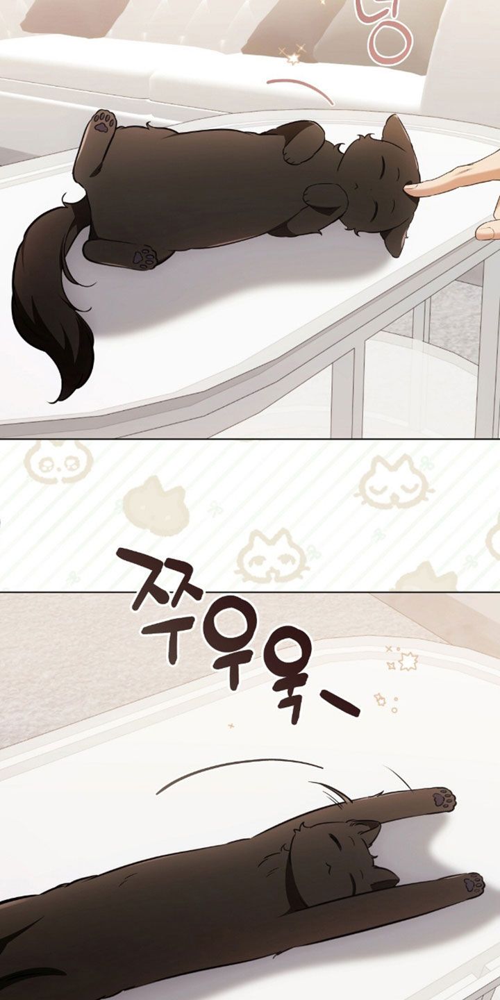 我的黑猫少年韩漫漫画,第49章：闯祸3图