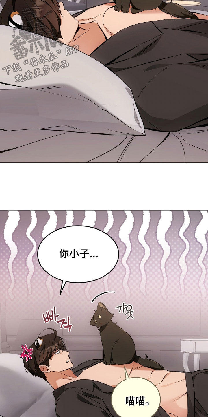 我的黑猫少年漫画,第48章：报复回去4图