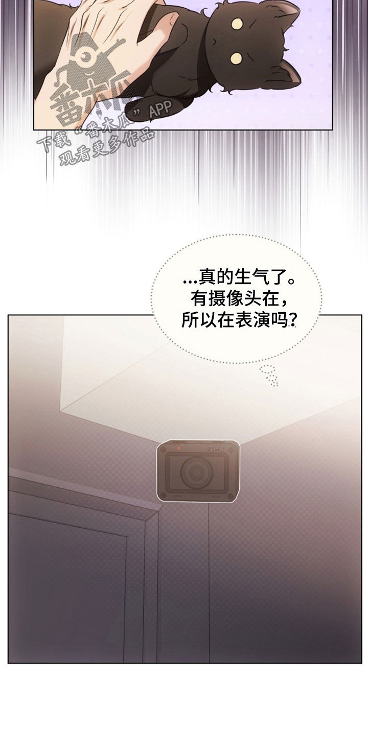 我的黑猫少年韩漫漫画,第49章：闯祸2图