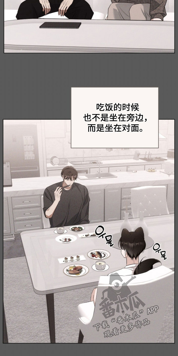 我的黑猫少年韩漫免费阅读漫画,第43章：保持距离4图