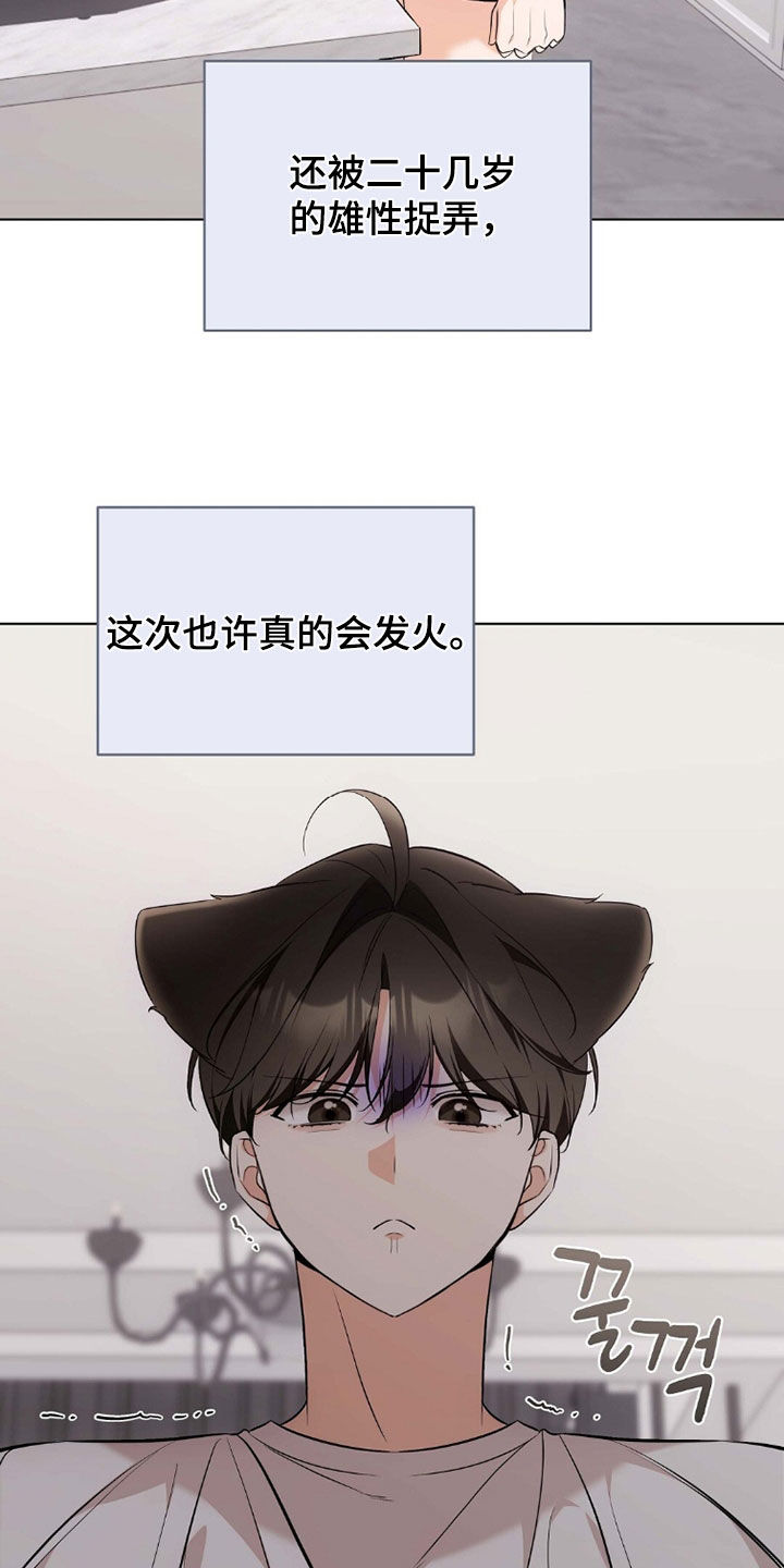 我的黑猫少年韩漫免费阅读漫画,第45章：确认一下2图