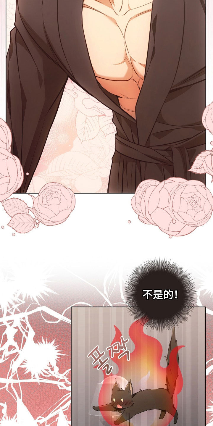 我的黑猫少年韩漫免费阅读漫画,第48章：报复回去5图