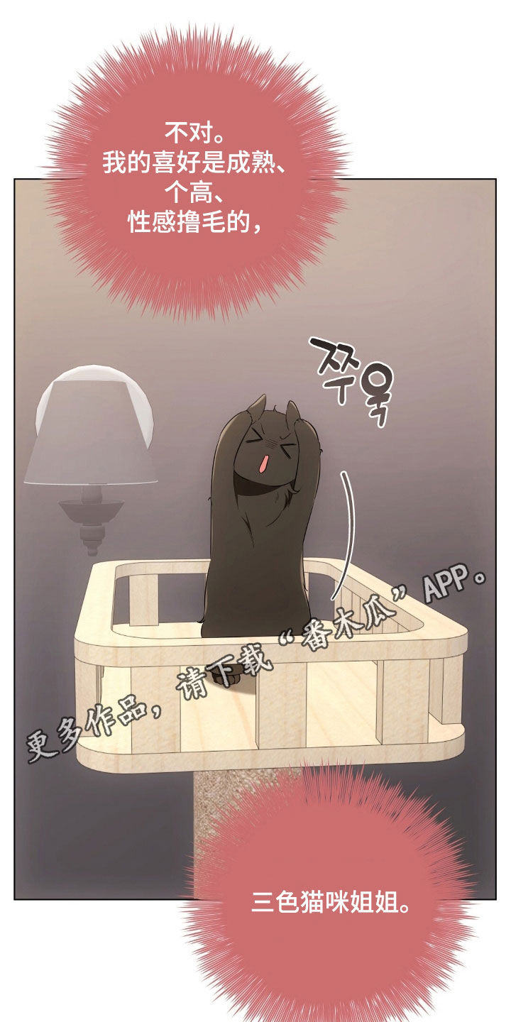 我的黑猫少年韩漫免费阅读漫画,第48章：报复回去1图