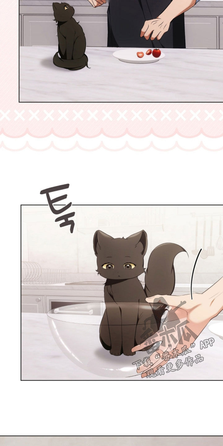 我的黑猫少年韩漫免费阅读漫画,第43章：保持距离2图