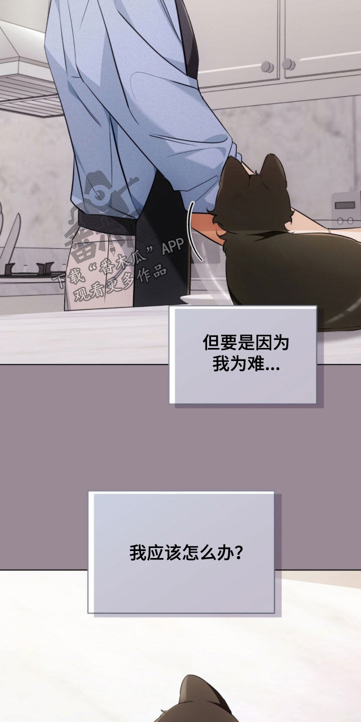 我的黑猫少年韩漫免费阅读漫画,第43章：保持距离5图
