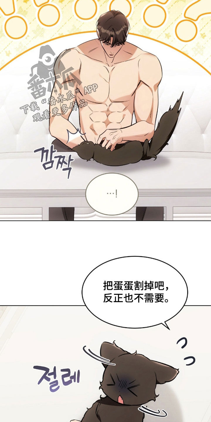 我的黑猫少年韩漫漫画,第49章：闯祸3图