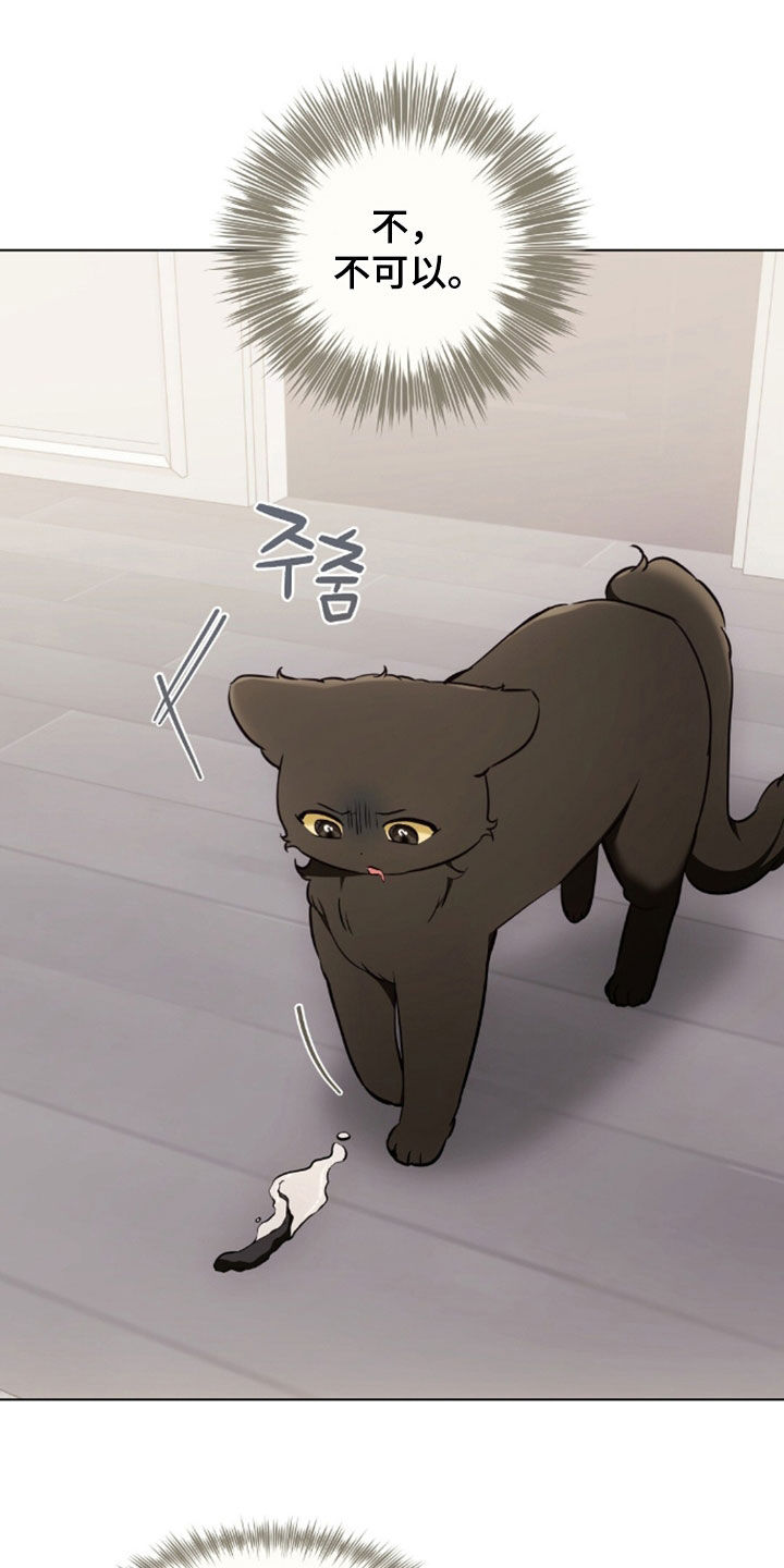 我的黑猫男友动漫在线观看樱花岛漫画,第50章：吐了3图