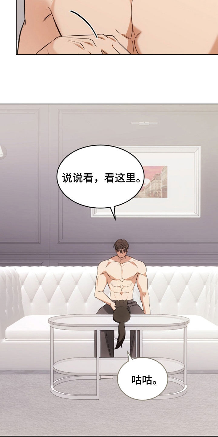 我的黑猫少年韩漫漫画,第49章：闯祸4图