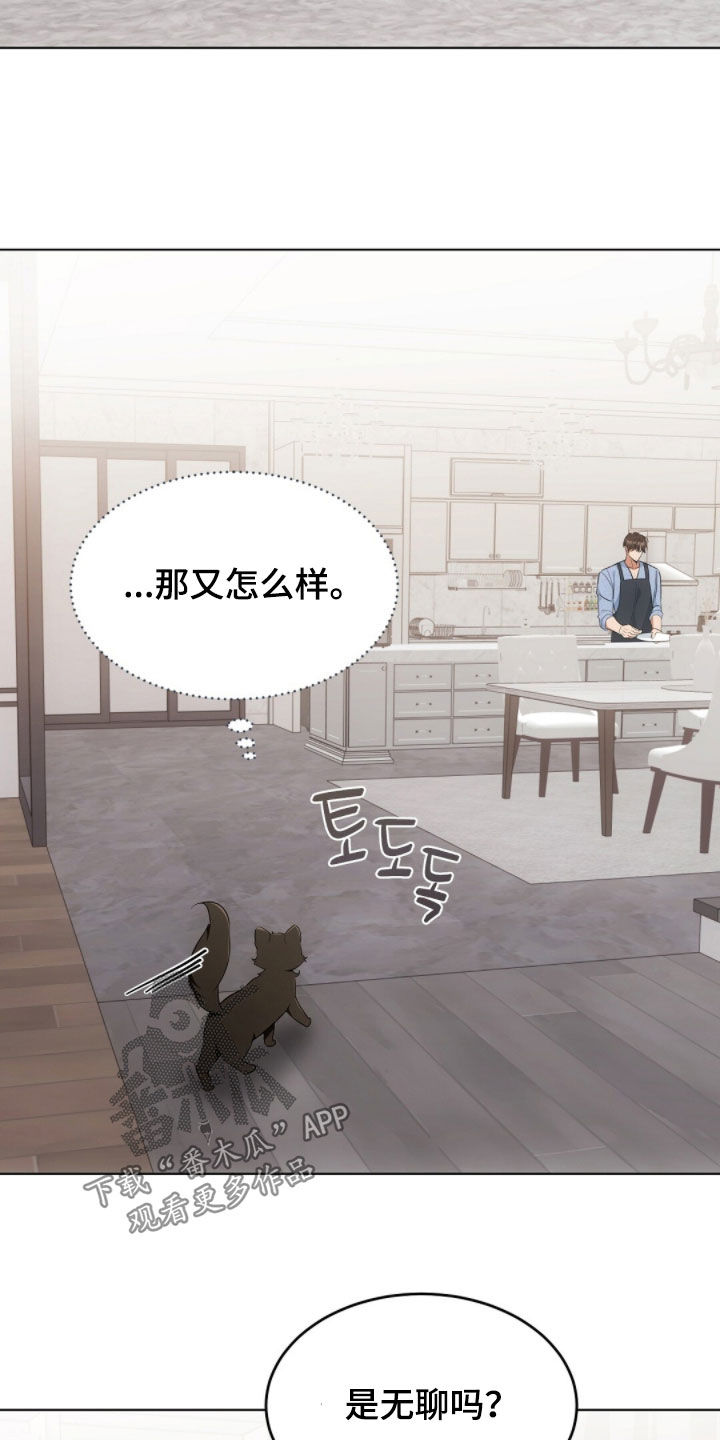 我的黑猫少年韩漫免费阅读漫画,第43章：保持距离4图