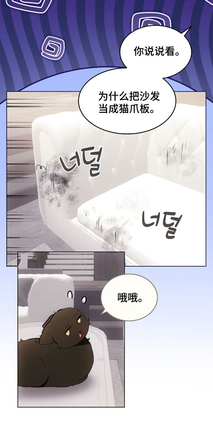 我的黑猫少年韩漫漫画,第49章：闯祸1图