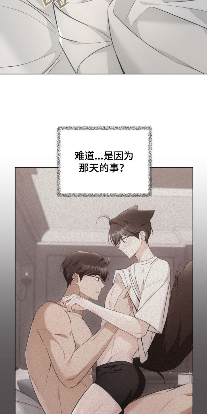 我的黑猫和白猫阅读题答案漫画,第44章：上了年纪5图