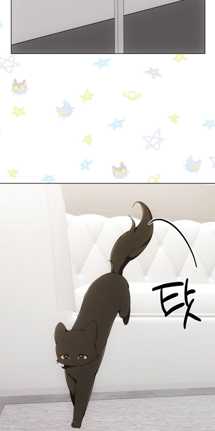我的黑猫少年韩漫免费阅读漫画,第43章：保持距离3图