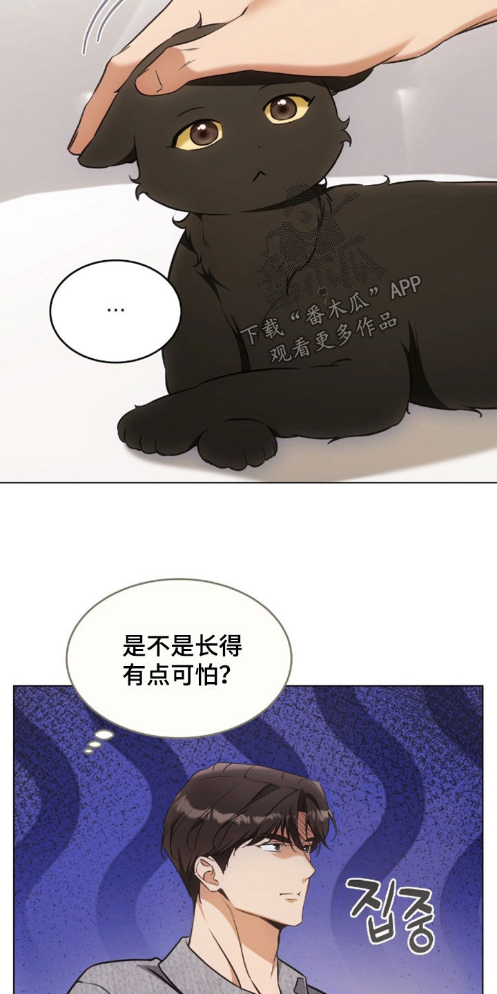 我的黑猫少年韩漫免费阅读漫画,第51章：很像父亲4图