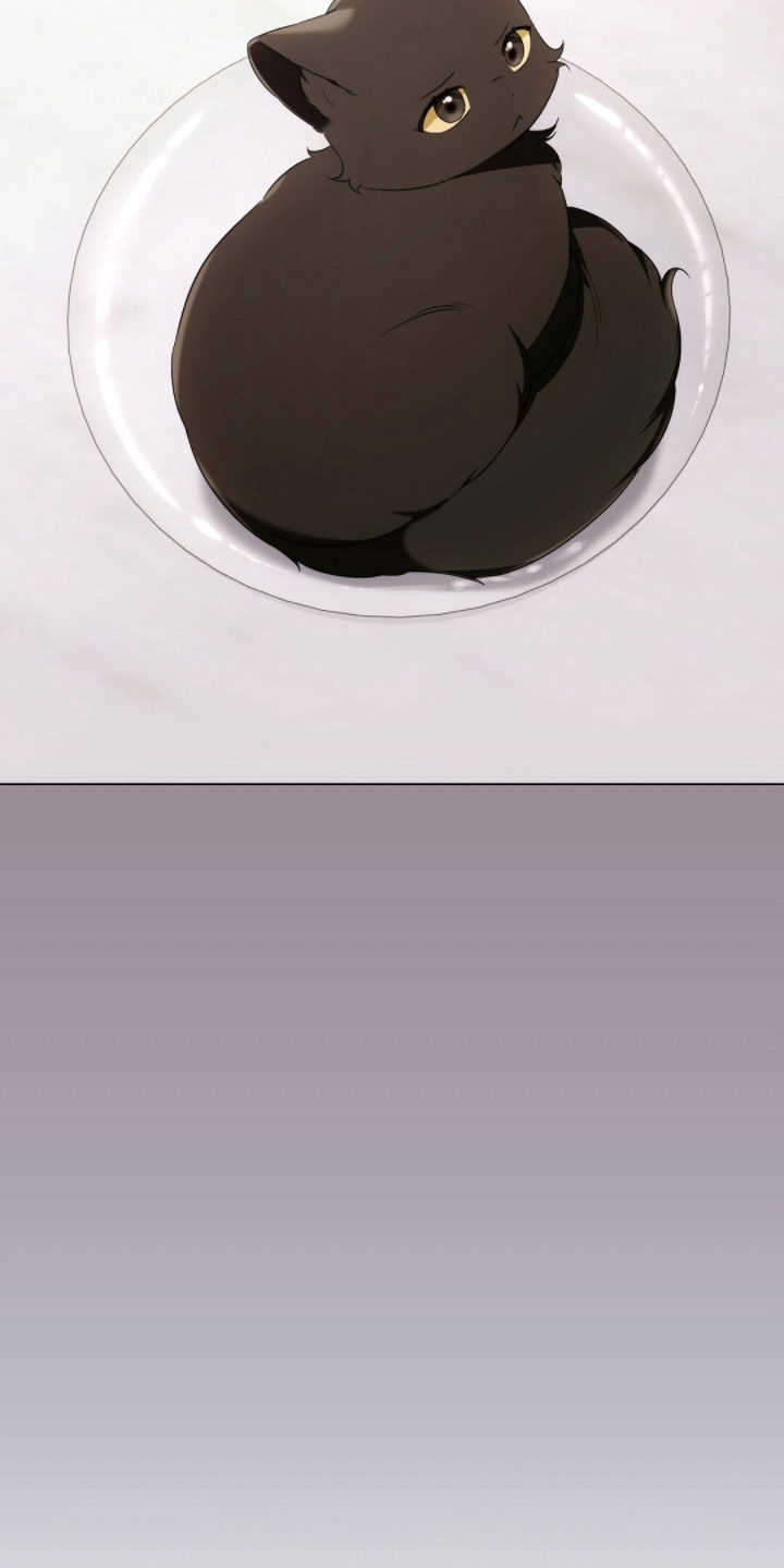 我的黑猫少年韩漫免费阅读漫画,第43章：保持距离1图