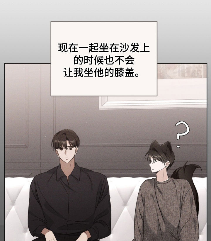 我的黑猫少年韩漫免费阅读漫画,第43章：保持距离3图