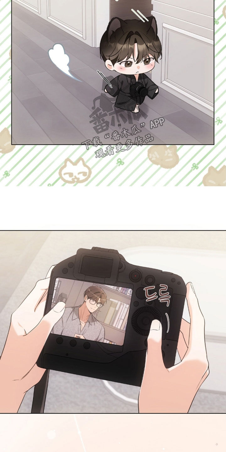 我的黑猫少年韩漫漫画,第52章：最喜欢的表情4图