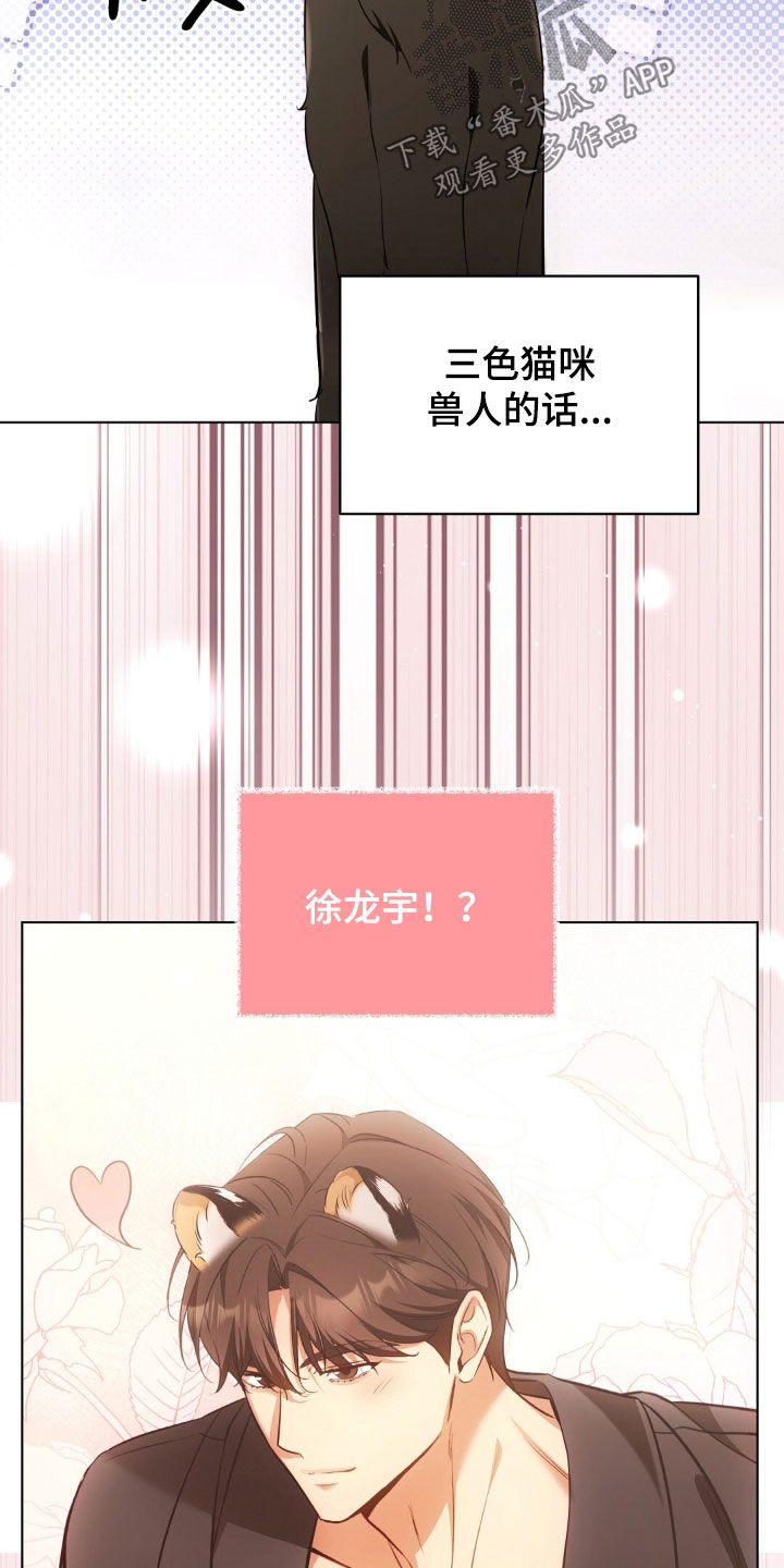 我的黑猫少年韩漫免费阅读漫画,第48章：报复回去4图
