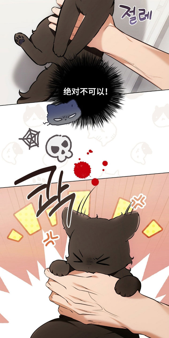 我的黑猫少年韩漫漫画,第49章：闯祸4图