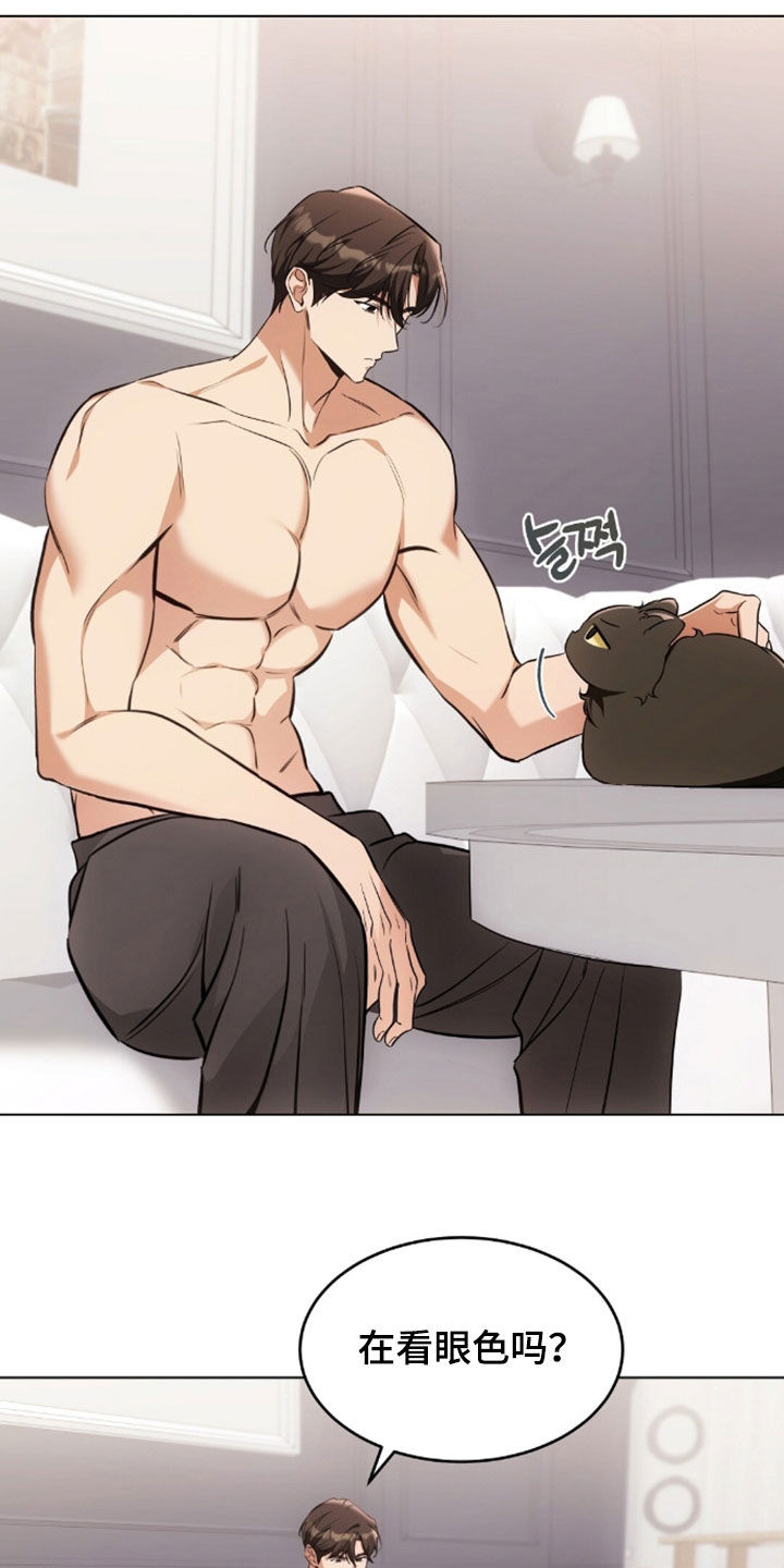 我的黑猫少年韩漫漫画,第49章：闯祸3图