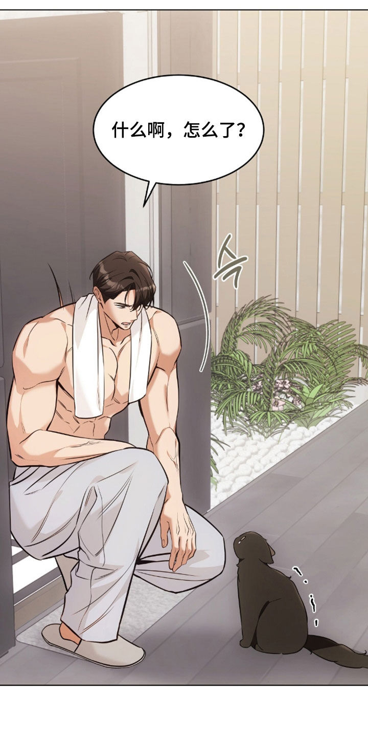 我的黑猫男友动漫在线观看樱花岛漫画,第50章：吐了5图