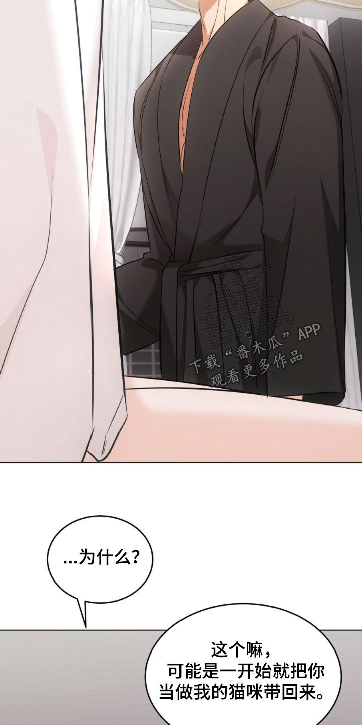 我的黑猫男友小短篇漫画,第44章：上了年纪4图