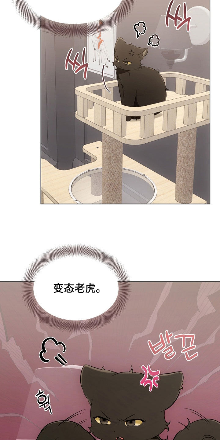 我的黑猫男友小短篇漫画,第47章：怎么可以那样3图