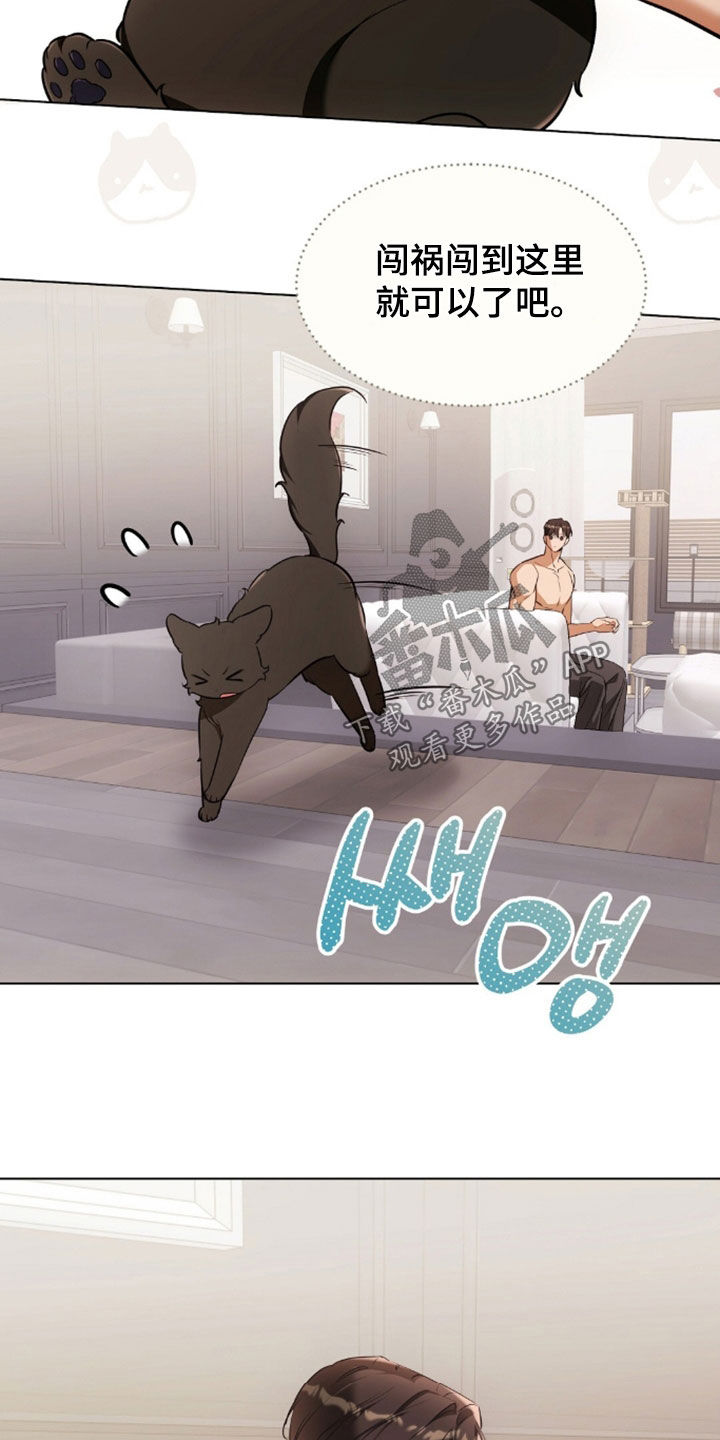 我的黑猫少年韩漫漫画,第49章：闯祸5图