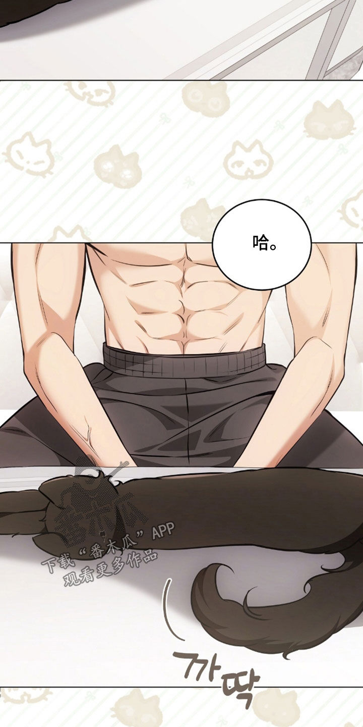 我的黑猫少年韩漫漫画,第49章：闯祸4图