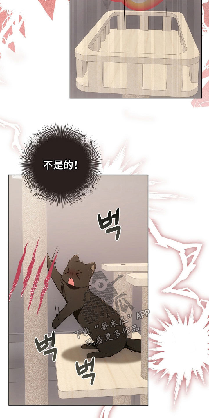 我的黑猫少年韩漫免费阅读漫画,第48章：报复回去1图