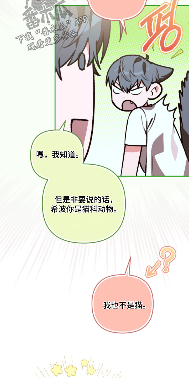 我捡垃圾养你啊漫画,第41章：不必操心5图