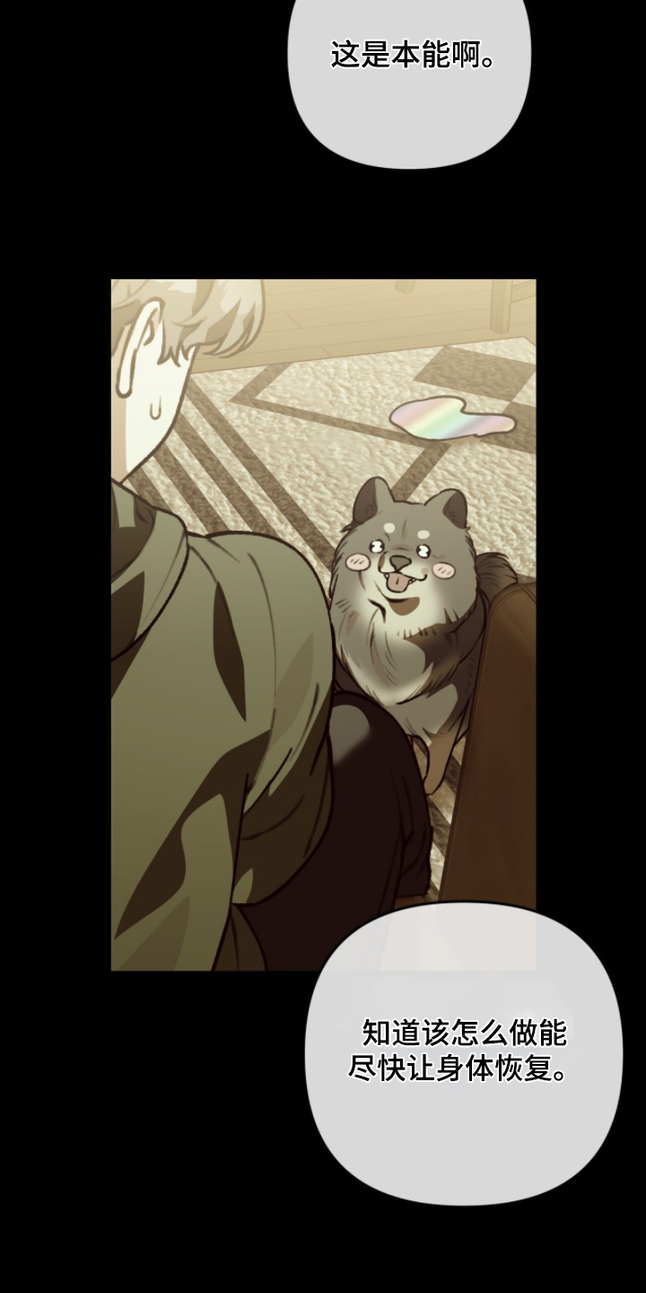 我捡垃圾养你啊漫画,第40章：我在这里2图