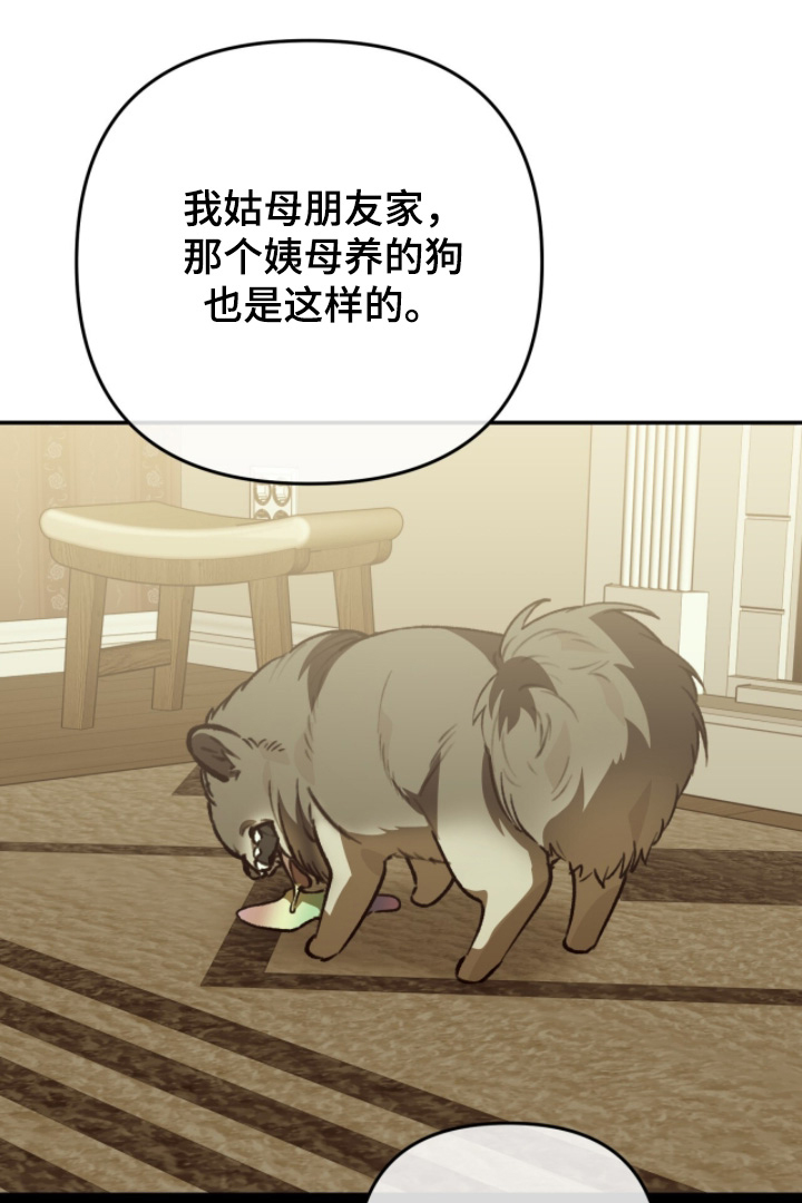 我捡垃圾养你啊漫画,第40章：我在这里1图