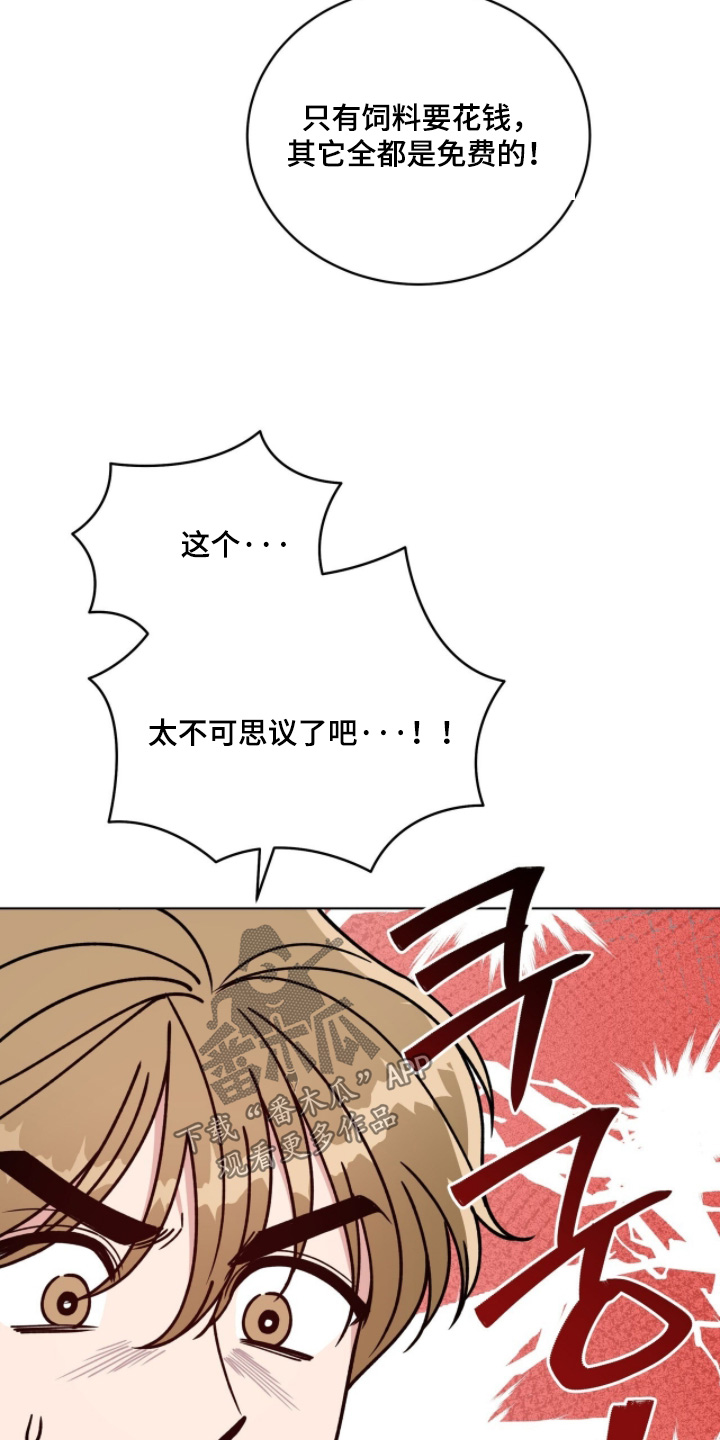 拜金王子漫画,第35章：意料之外2图