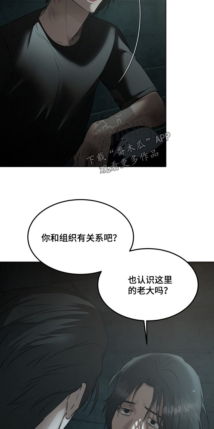 忠诚的背面漫画,第42章：介绍一下4图