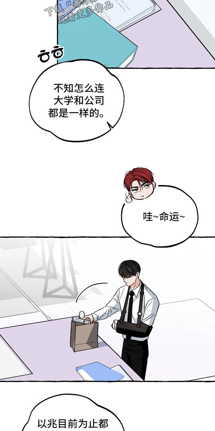 我的同事是冰山漫画,第37章：原来你喜欢他5图